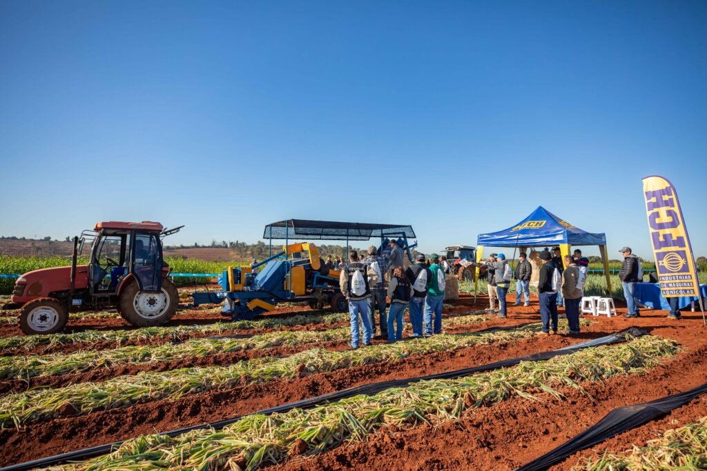 Área experimental do Open Field Day 2025 com diversas culturas de hortaliças cultivadas na Estação Experimental da Agristar, em Santo Antônio de Posse (SP).