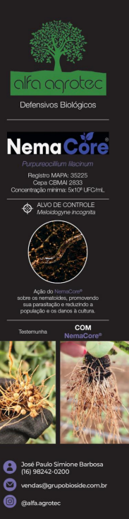 Biológicos fortalecem o cafeeiro contra os extremos climáticos