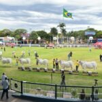 ACNB abre inscrições para a 55ª Expoinel, em outubro, em Uberaba
