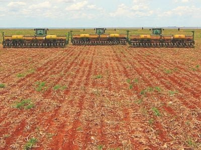Aprosoja alerta para o vazio sanitário