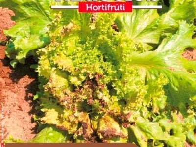 Hortifrúti janeiro 2015