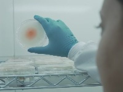 0136856d6c24409fb93af34d240671cd_200x200