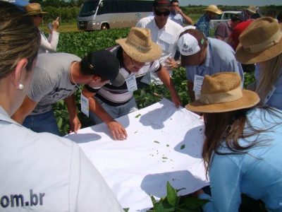 Aula prática no campo - Caravana Embrapa 2015 Dourados - Foto de Jose Mauro Kruker