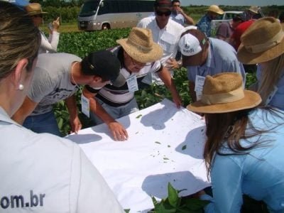 Aula prática no campo - Caravana Embrapa 2015 Dourados - Foto de Jose Mauro Kruker