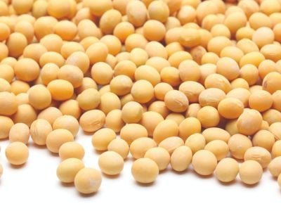 Tratamento de sementes é o início de uma lavoura de sucesso?