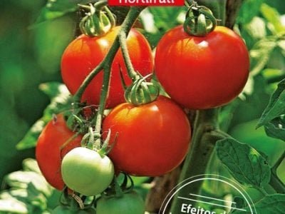 Hortifrúti março 2015