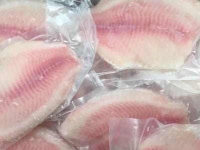 A tilápia brasileira poderá conquistar o mundo?