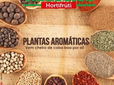 Hortifrúti junho 2015