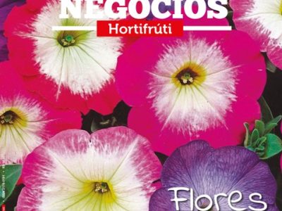 Hortifrúti julho 2015