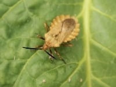 0b25043908b445fe986fd2eec65d91f7_200x200