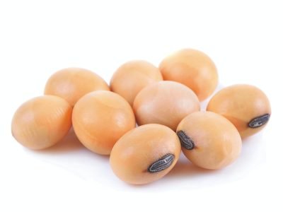 Qual a importância das sementes no contexto produtivo?