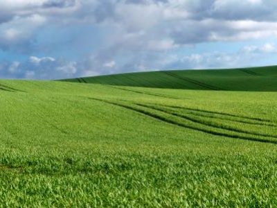wide green field and blue sky with clouds