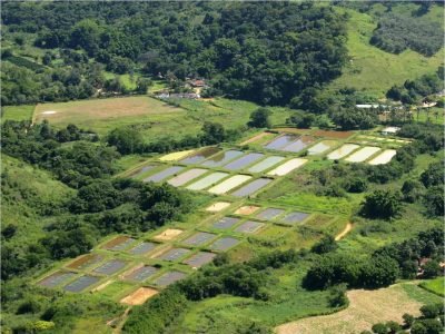 1-Área-de-piscicultura-da-FELP-em-Leopoldina
