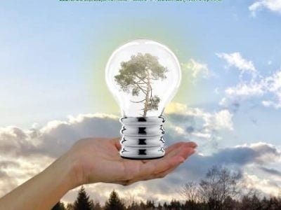 Floresta fevereiro/março 2013