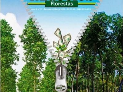 Floresta fevereiro/março 2015