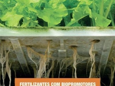 Hortifrúti janeiro 2014