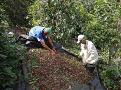 osé Alexandre e Greciano na propriedade Forquilha do Rio