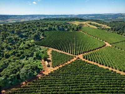 Marcelo Coelho
Exposição Brasis Cafés de origem - região Alta Mogiana