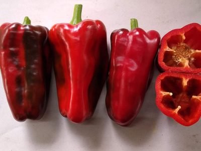 Pimentão Híbrido Triunfo - ISLA