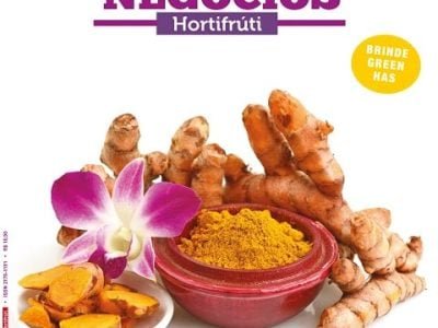 Hortifrúti novembro 2015
