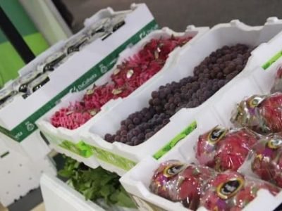 112689be-75df-4026-8a98-31f9879bcb66 (Telefone)