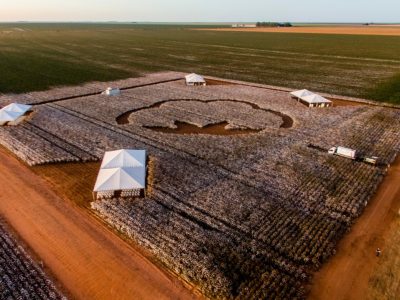 Estrutura preparada para o Dia do Algodão