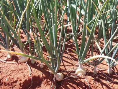 1503356678-fab83235cbb8c75756aa47d237de8dd6