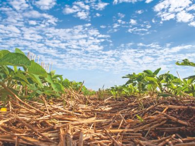Qual o poder do bioestimulantes na agricultura?