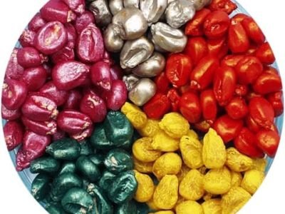 Além de revestir e padronizar as sementes, os polímeros levam proteção contra agentes externos e internos para o futuro da planta