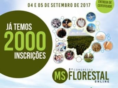 2000