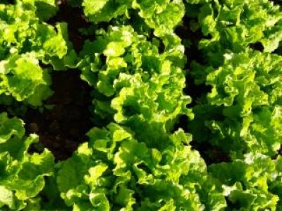 20180626_082839-Telefone