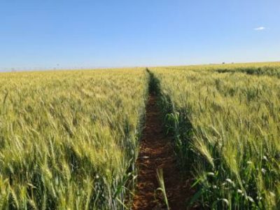 20220705_144344-Telefone