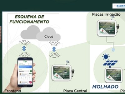 2023.06.15-BW-2023-BW-Works-Pitaya-p