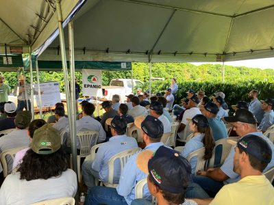 2024-02-28 AP Agrícola