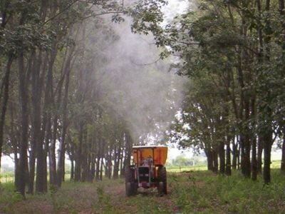 Nutrição foliar - Crédito: Luciano Barreto Dosualdo