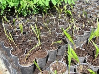 22957969646_5ee3061511_z