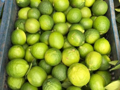 27785177_10156798802883521_2110604427_o