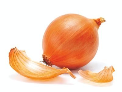 Mais rendimento e pungência da cebola com Enxofre