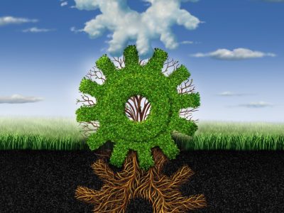 Manejo integrado de solos é a nova revolução verde