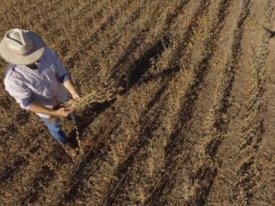 2f591-DJI_0129_mobile