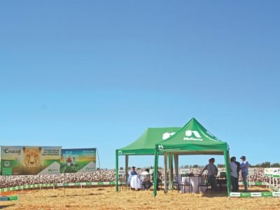 Nufarm possui soluções de ponta para o algodão