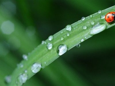 305e97b6db5841f5b52be5196f364214_858x483