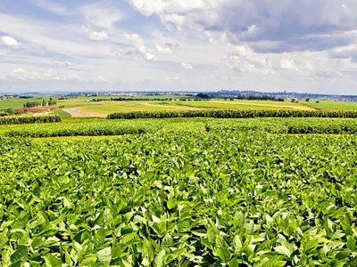 32b6509d-fc68-4899-909e-19b181ff5de7