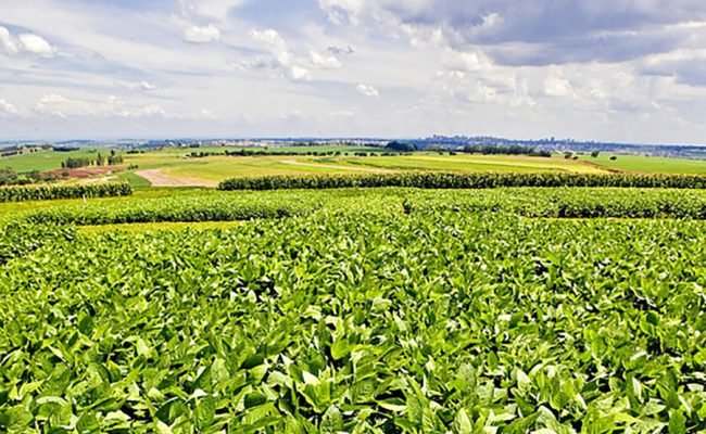 32b6509d-fc68-4899-909e-19b181ff5de7