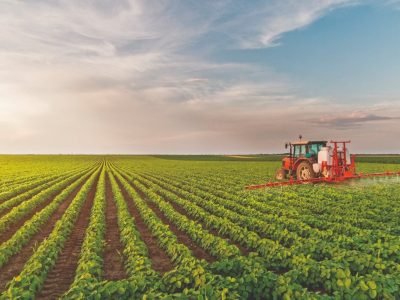 Os efeitos secundários na síntese de aminoácidos