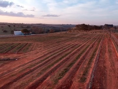 Crédito - Divulgação - Satis