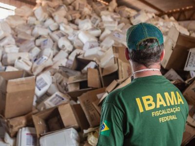 Foto: Vinícius Mendonça/ Ibama