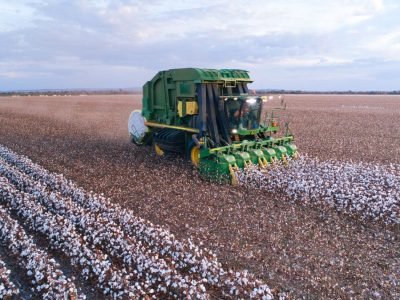 45912491701092025_Vazio-sanitario-1