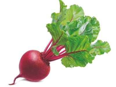 Beterraba híbrida possui mais qualidade e sabor no prato?