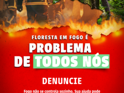 4911-·-05-Denuncie---CAMPANHA-CONTRA-INCENDIOS-FLORESTAIS (Telefone)
